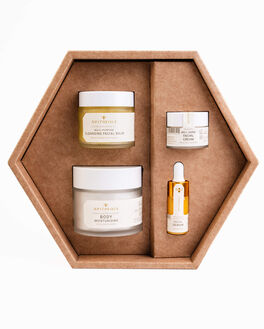 Apitheque. Initiation kit