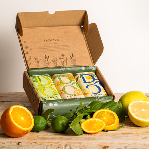 Summer Fresh Box (3x250mL)